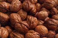 walnuts1