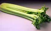 celery