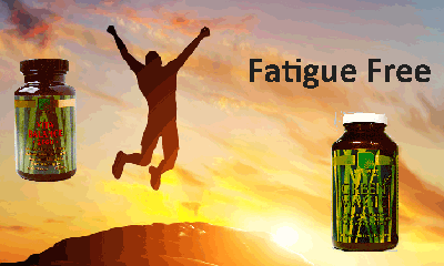 fatigue free